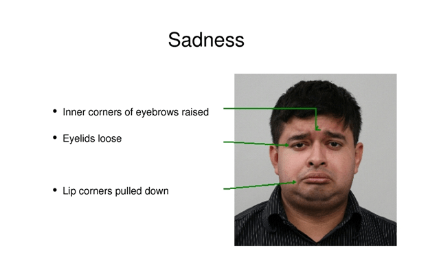 Seven Basic Emotions Reading Facial Expression Humintell