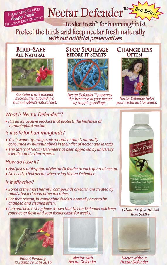 Hummingbird Feeder Fresh Nectar Defender. Keeps Nectar Fresh For Weeks