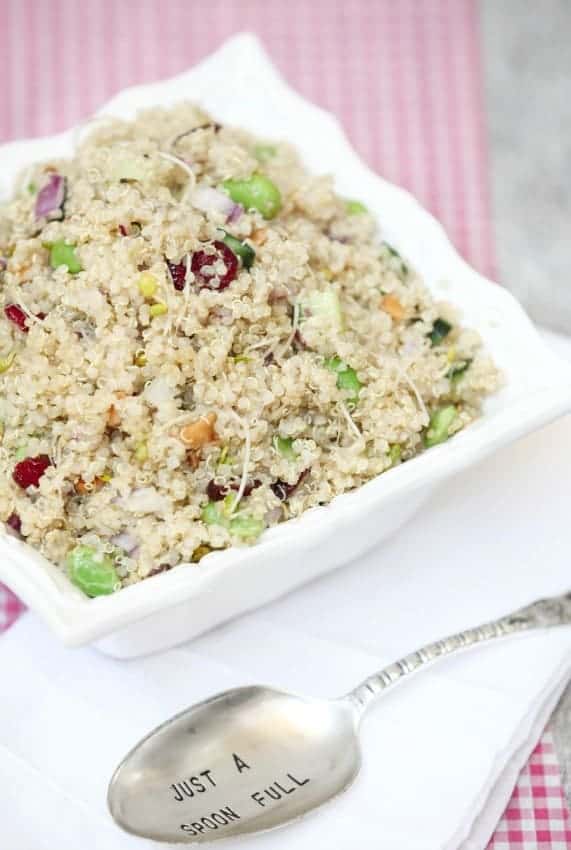 Vegan Quinoa Recipes Hummusapien