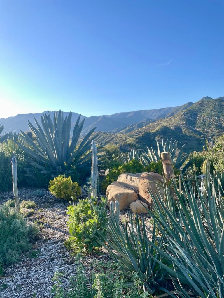 12 Things You Must Do in Ojai, California (2023 Edition) Hummusapien