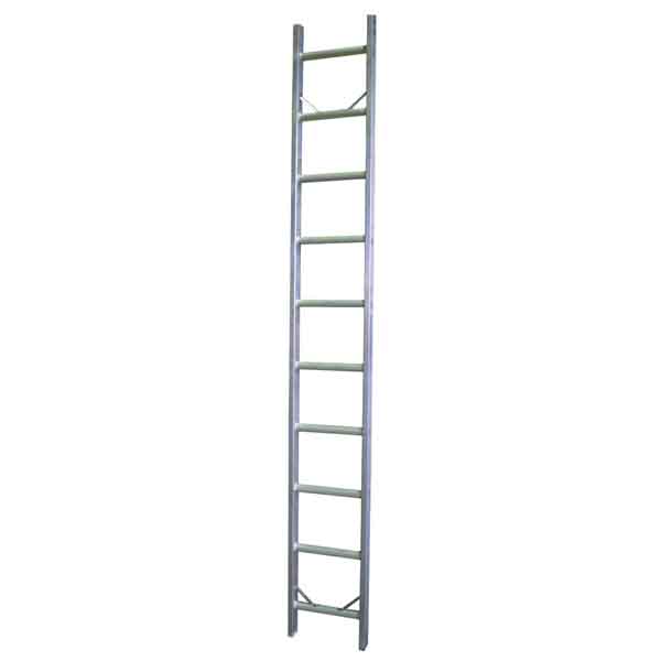 steel ladder World Scaffolding Co., Ltd.
