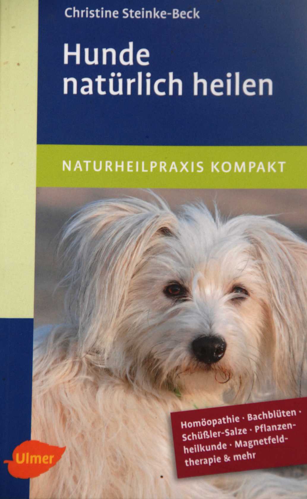 Magazin » Bücher