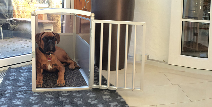 Hundebox Für Zuhause