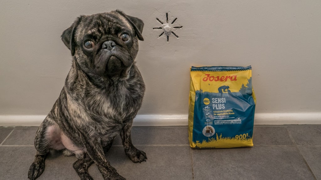 Josera Hundefutter (Unsere Erfahrung im Test 2021)