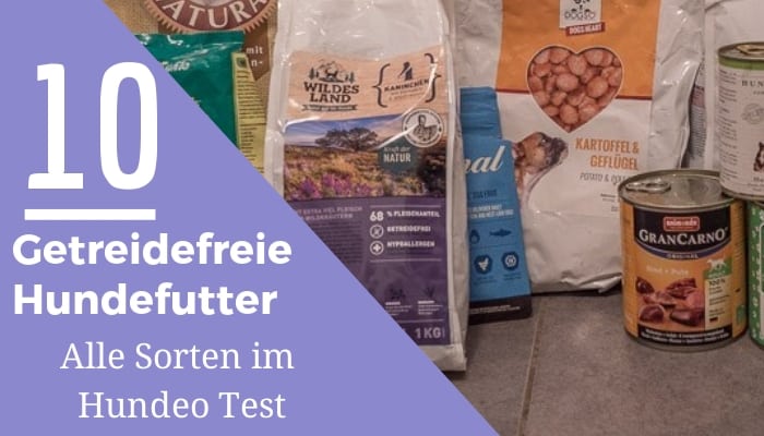 Das sind die besten getreidefreien Hundefutter 2019 HUNDEO