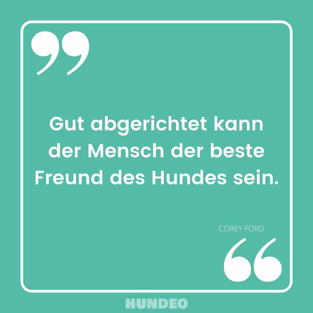 Die 53 Besten Hundesprüche Und Zitate 1024_x_1024_jpg