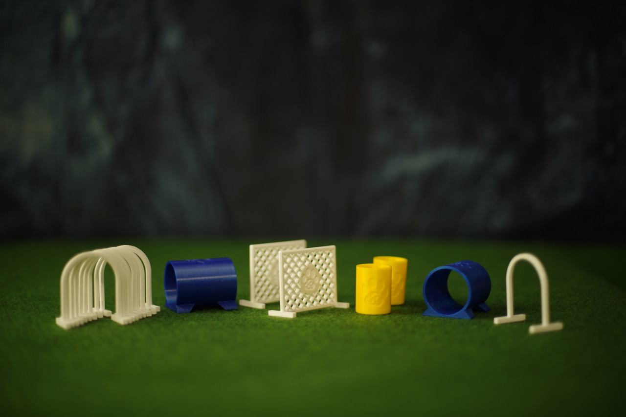 HOOPERS Eine Sportart, die begeistert!