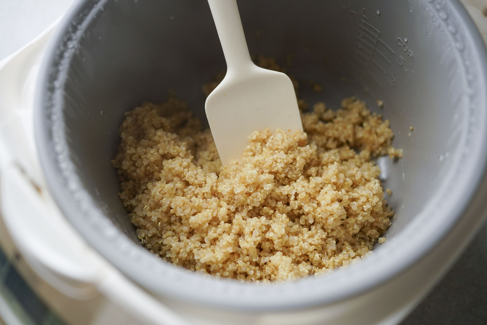 How to Make Quinoa in a Rice Cooker Hungry Huy