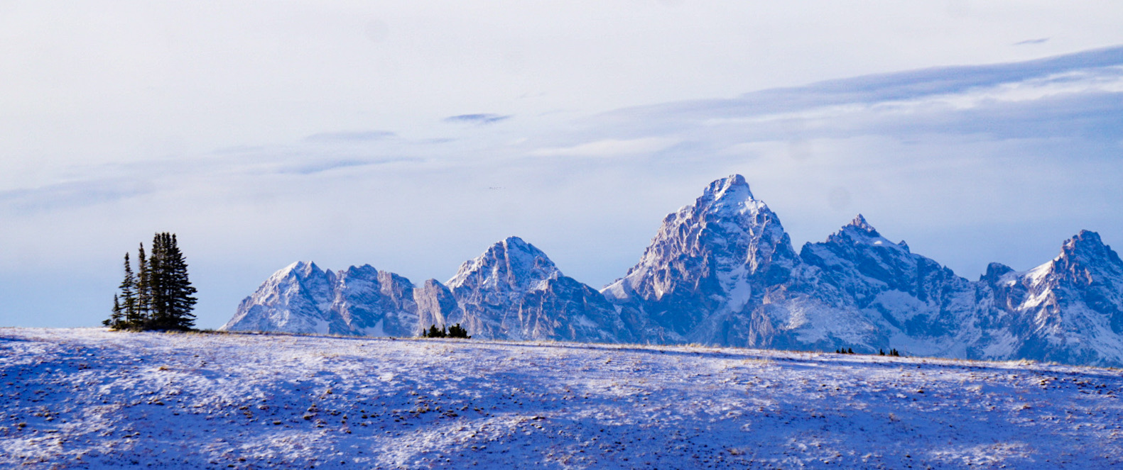 DIY Western Big Game Hunting