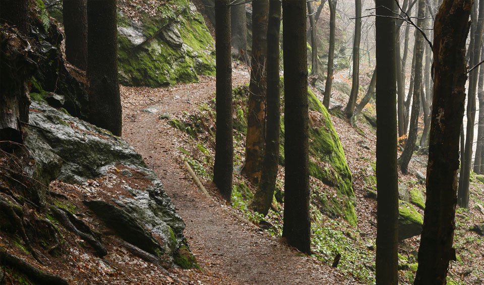 Hunter Tree Service Banner Elk Nc All information about