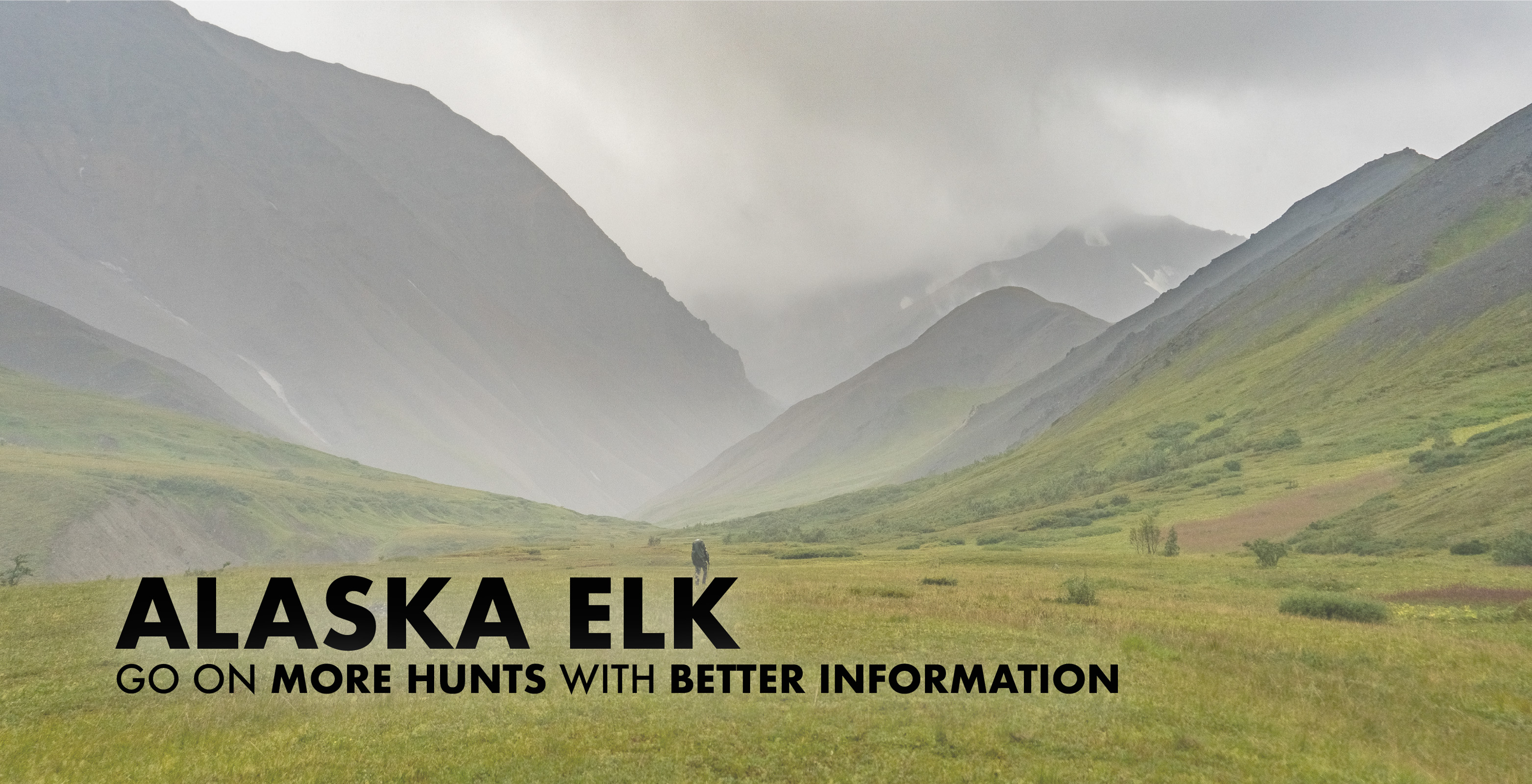 Alaska Elk Hunting 2023 2024 Draw Odds, Tags, Season Info