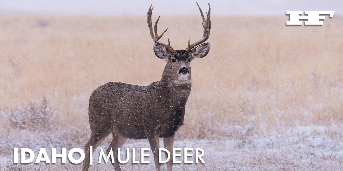 Deer Season 2025 Idaho Idaho Mule Deer Hunting 2025 Huntin' Fool