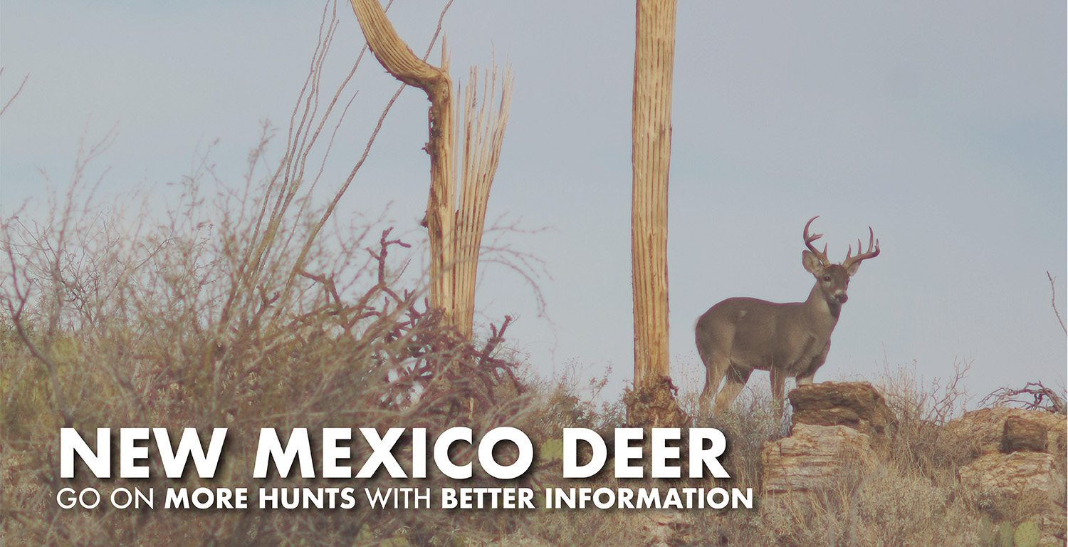 2024 New Mexico Deer Hunting, Mule & Coues Draw Odds, Tags, Season