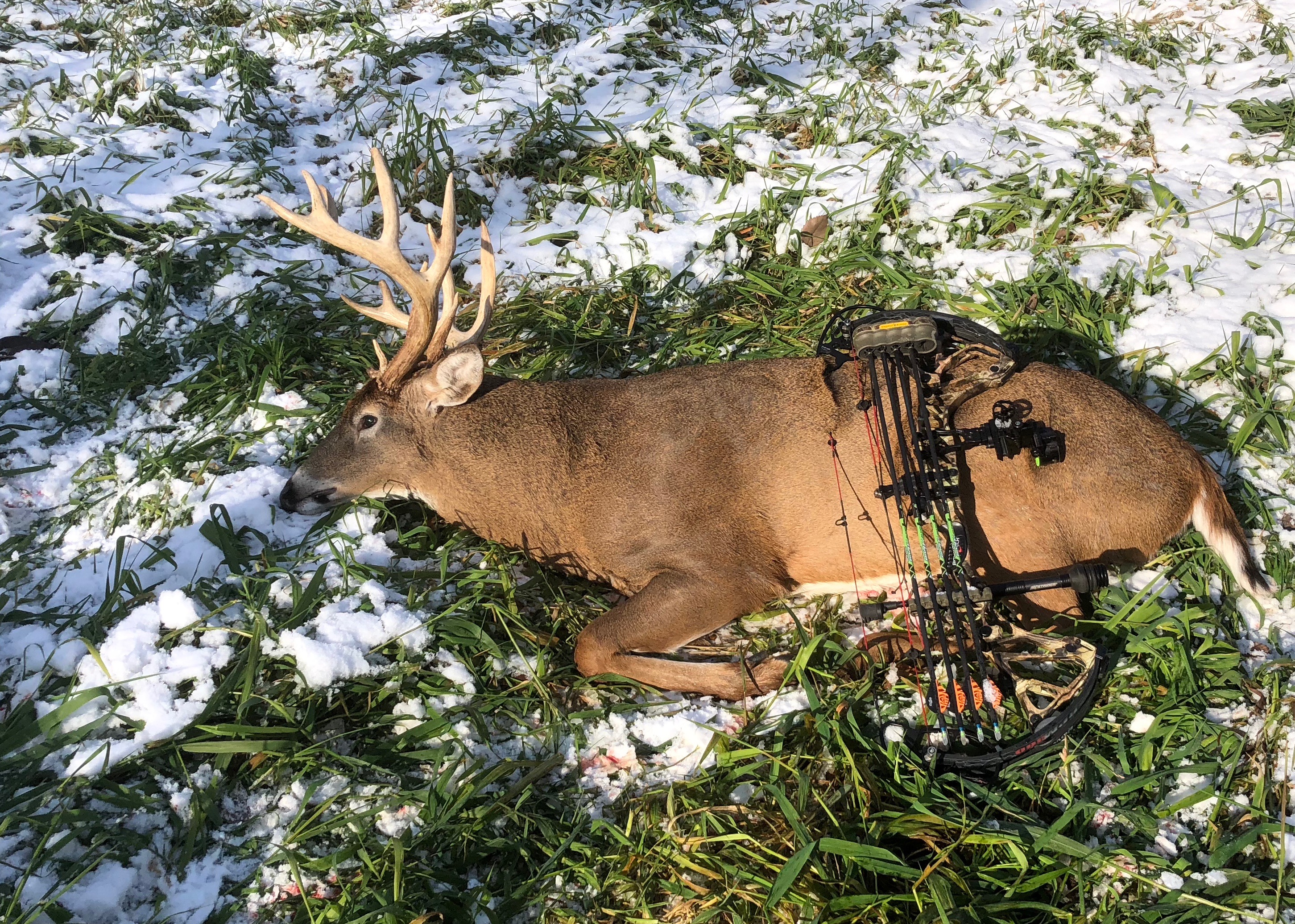 The Unicorn Buck (An Iowa Whitetail Adventure) Huntin' Fool