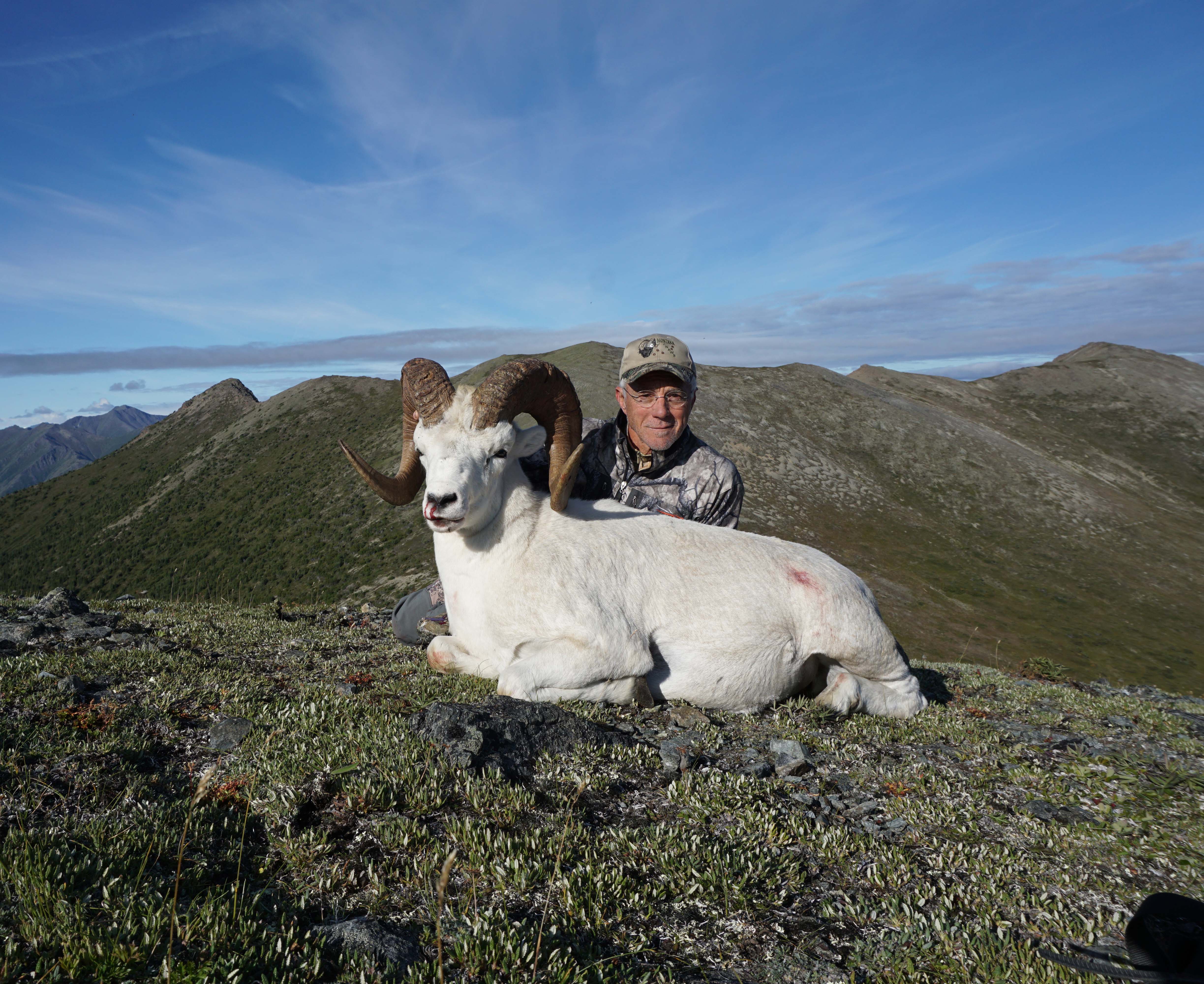 My Last Dall Sheep Hunt Huntin' Fool