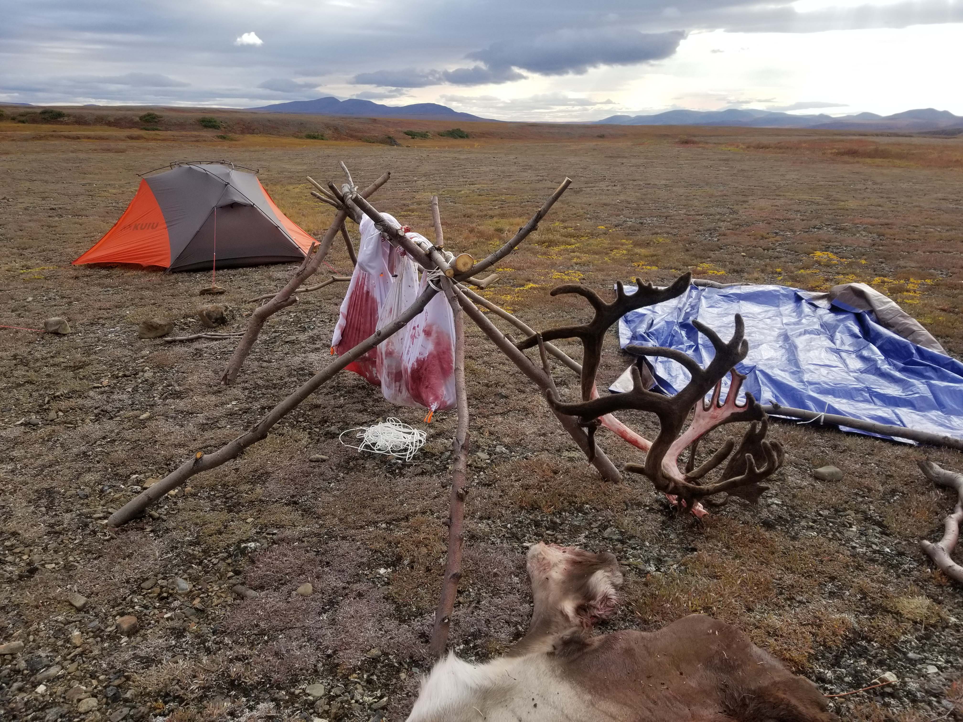 Planning Your Alaska Drop Camp Caribou Hunt Huntin' Fool