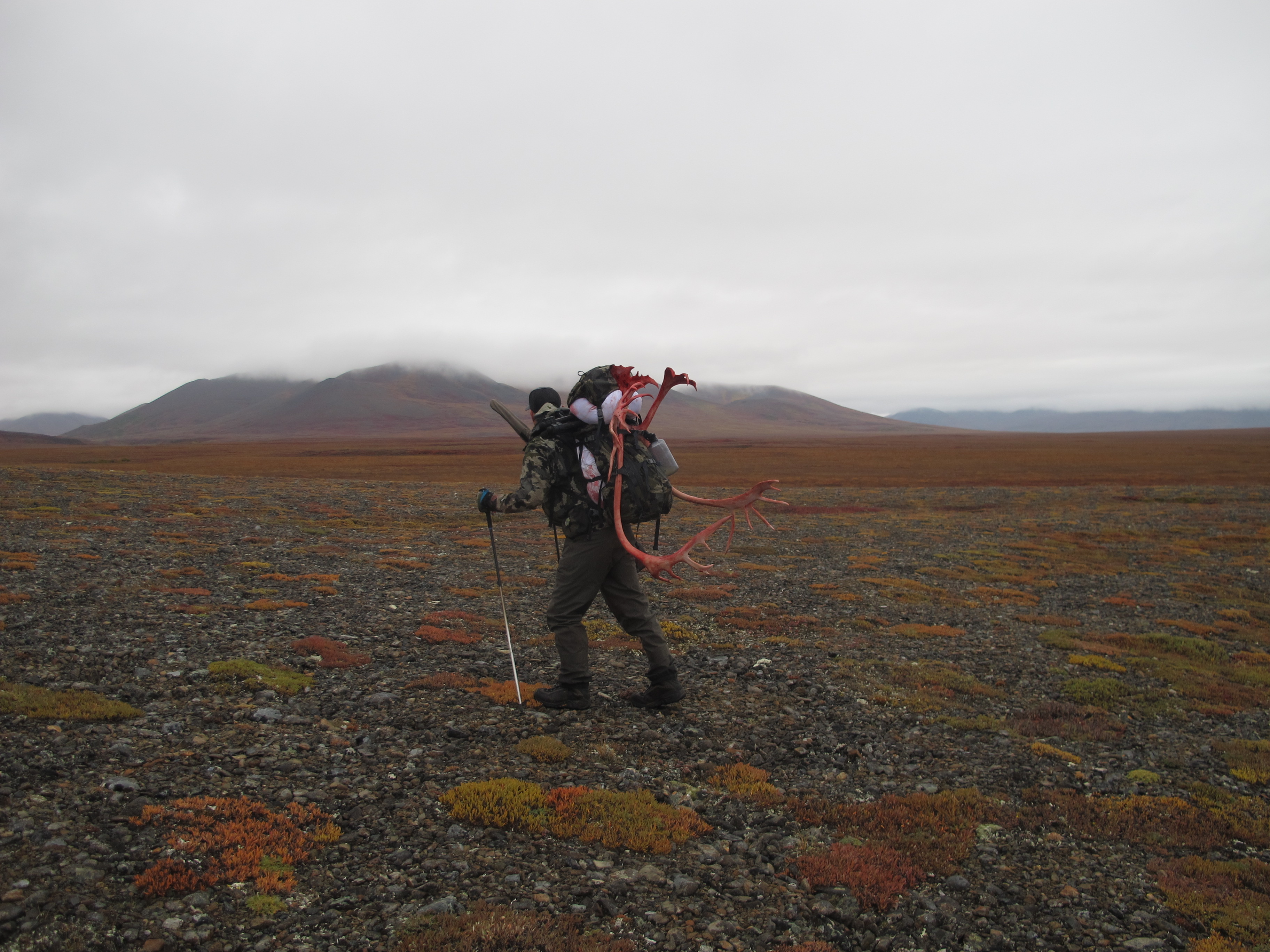 Planning Your Alaska Drop Camp Caribou Hunt Huntin' Fool