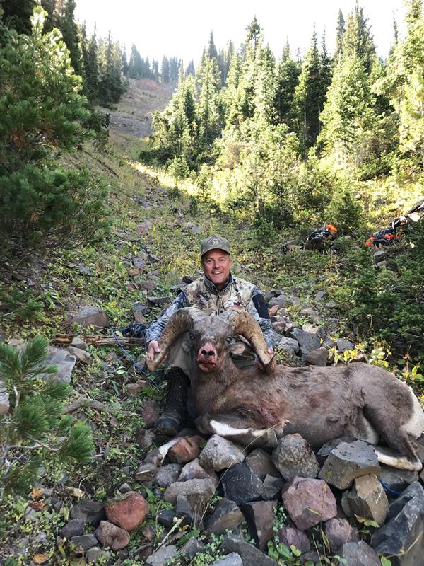 Montana Unlimited Bighorn Sheep Huntin' Fool
