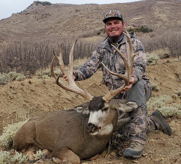 henry mountains mule deer draw odds coupleweddingoutfitsguestspring