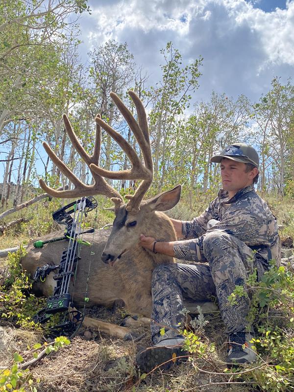 The TwoYear Stalk Came to an End Huntin' Fool