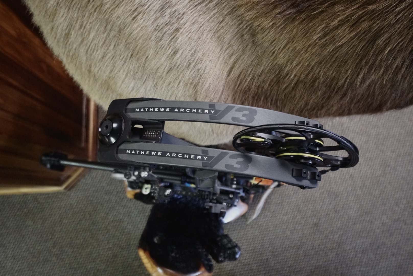 Mathews V3 Huntin' Fool