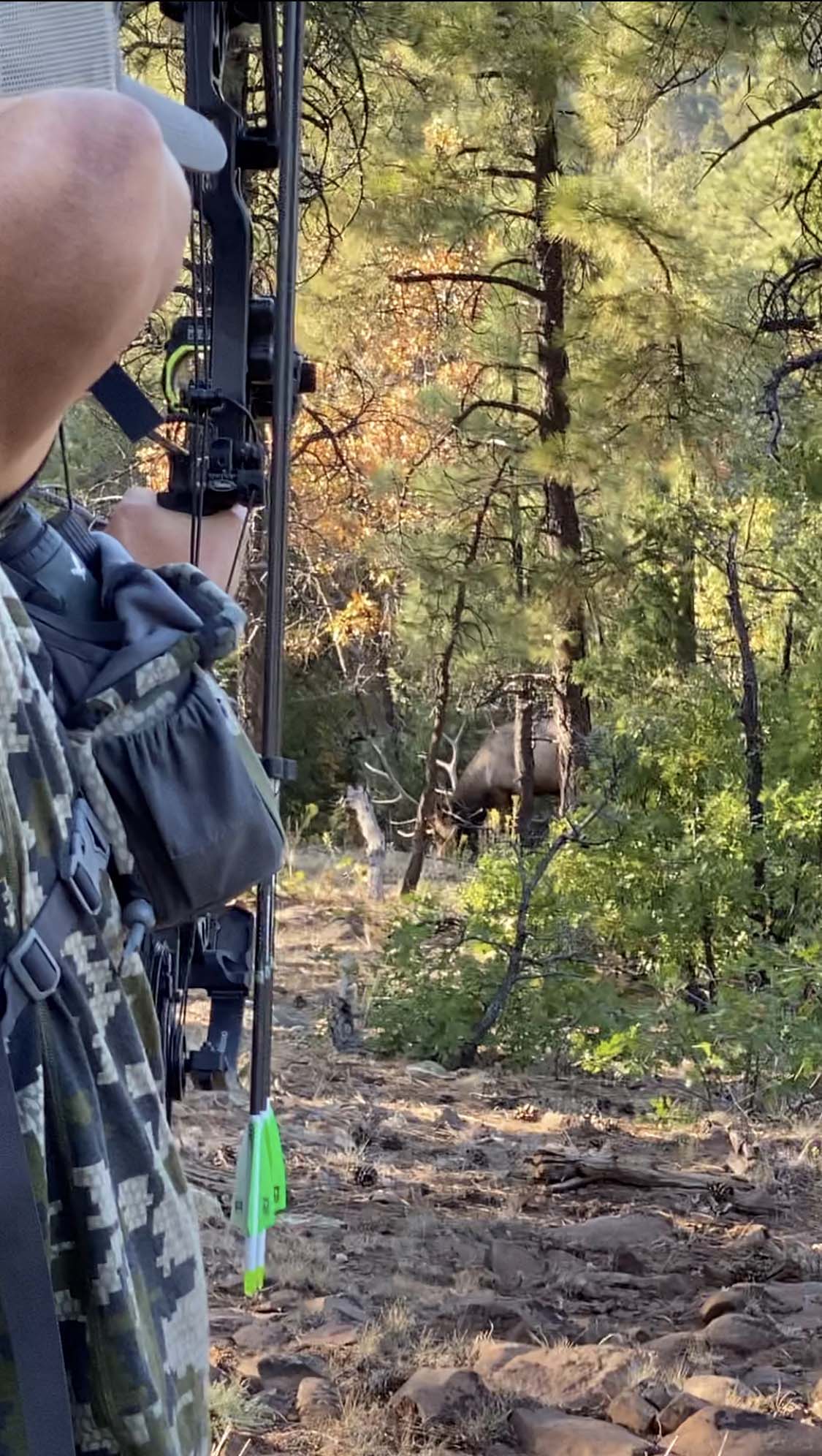 Common Archery Regulations for Western States Huntin' Fool