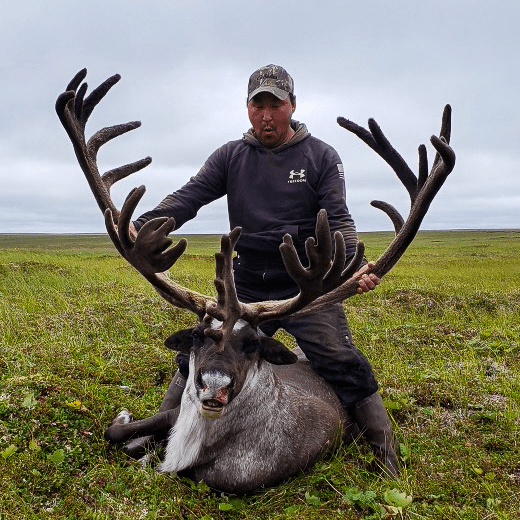 Alaska Trophy Reindeer Hunts Huntin' Fool