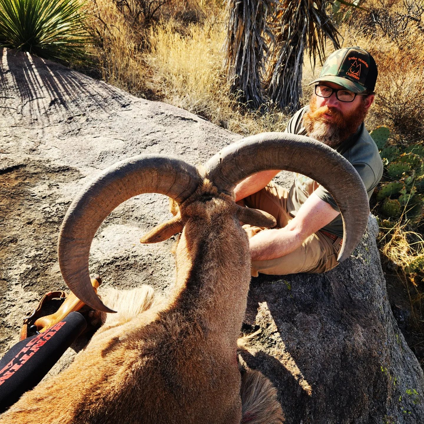 New Mexico Barbary Sheep Hunt Huntin' Fool