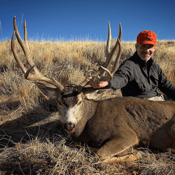 Gunnison Basin Colorado Trophy Mule Deer Hunts Huntin' Fool
