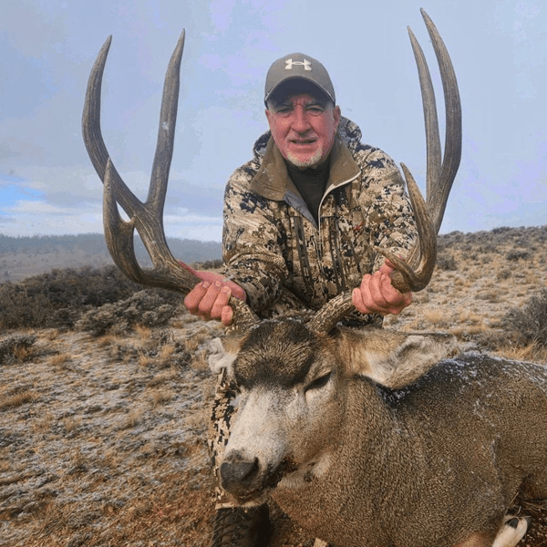 Gunnison Basin Colorado Trophy Mule Deer Hunts Huntin' Fool