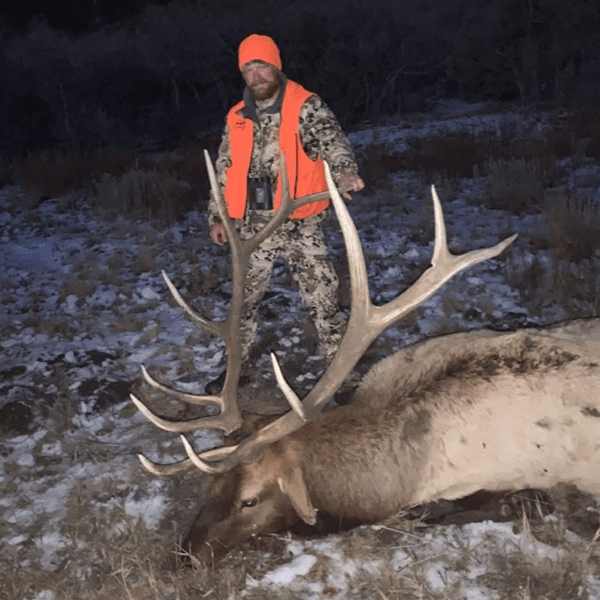 Unit 61 Colorado Elk Hunt Huntin' Fool