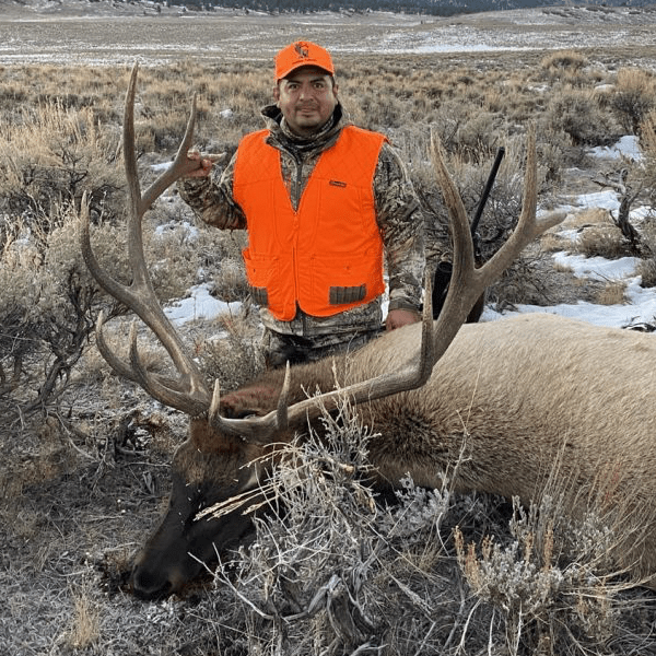Unit 61 Colorado Elk Hunt Huntin' Fool