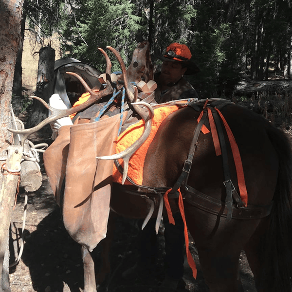 Colorado Unit 65 Drop Camp Elk Hunt Huntin' Fool