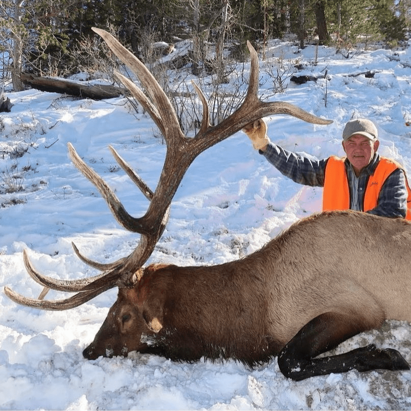 Limited Entry Any Weapon Utah Trophy Elk Hunts Huntin' Fool