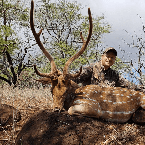 Hawaii Axis Deer Hunts in Molokai Huntin' Fool