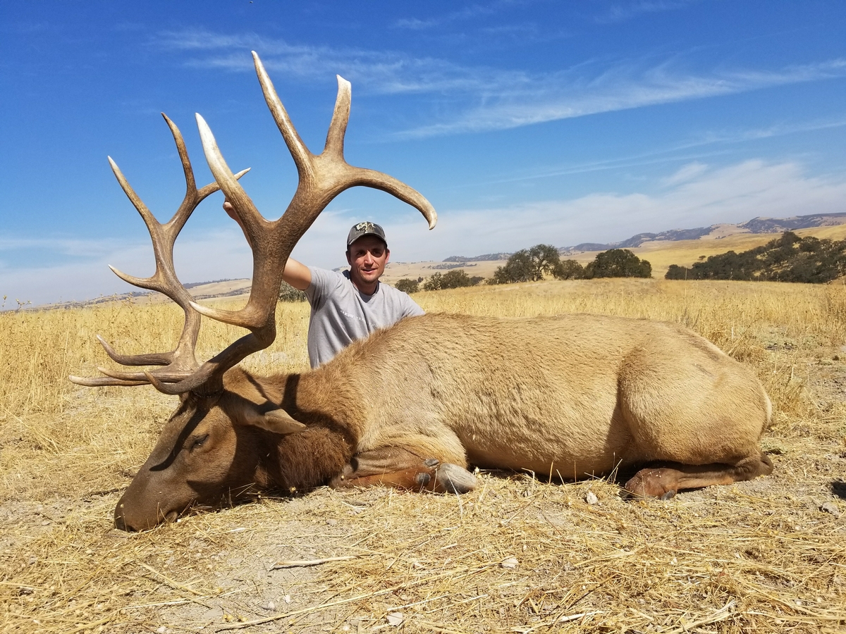 Central Coast Tule Elk Hunt Huntin' Fool