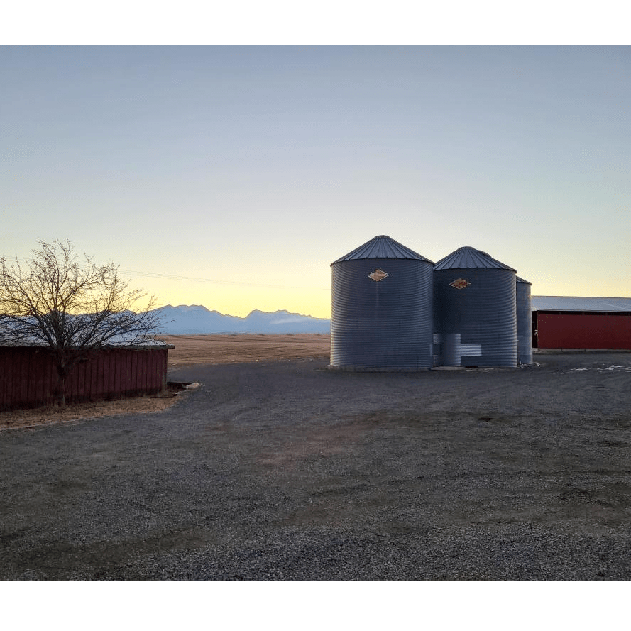 Oregon Private Land Cow Elk Hunt Huntin' Fool