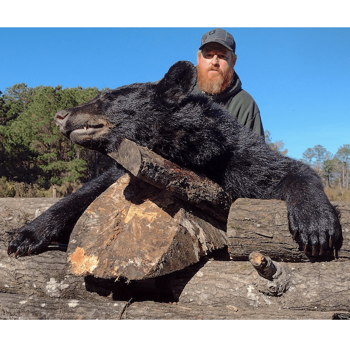 North Carolina Trophy Black Bear Hunts Huntin' Fool