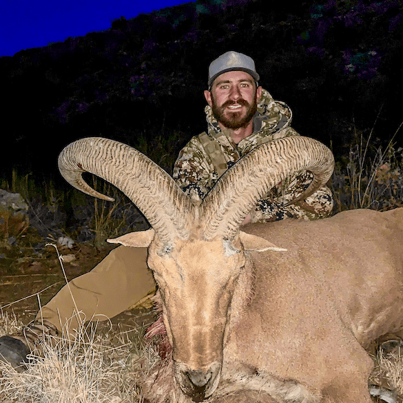 New Mexico Aoudad Hunts Huntin' Fool