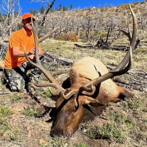 Unit 61 Colorado Elk Hunt Huntin' Fool
