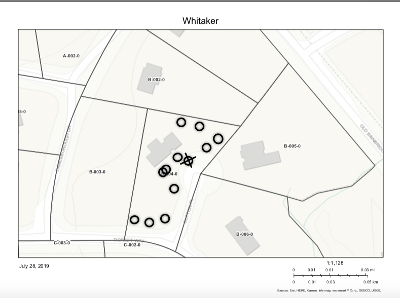 Tree Removal Huntington Estates