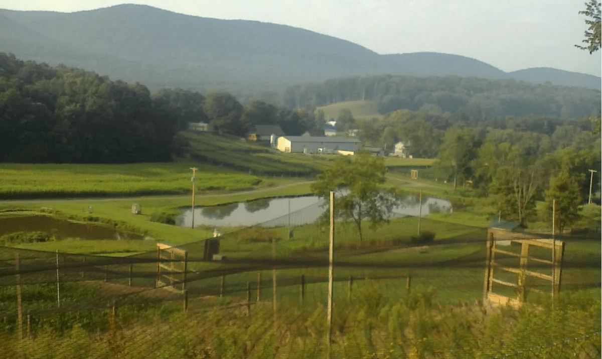 Juniata River Game Farm