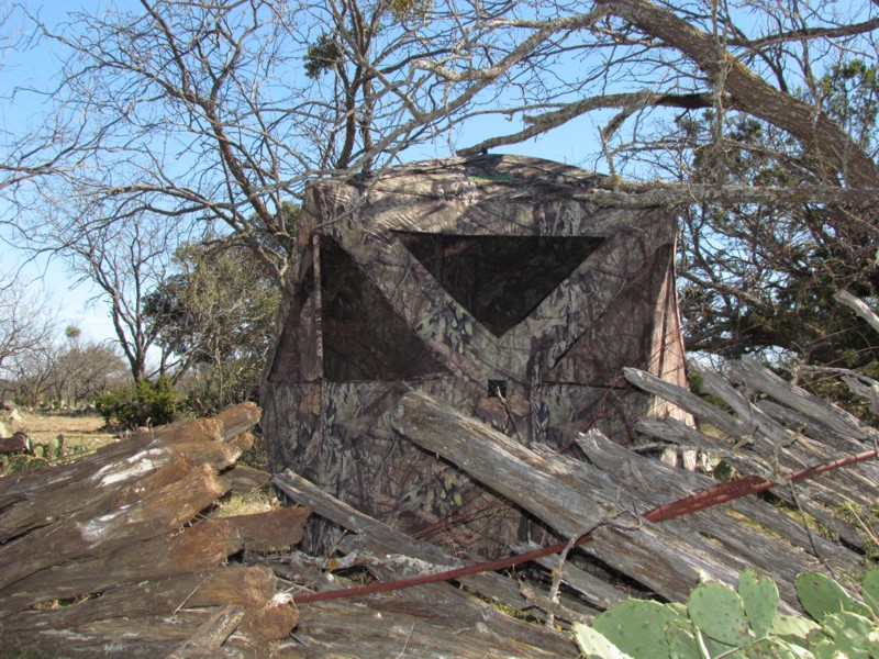 Texas Hunting Blind