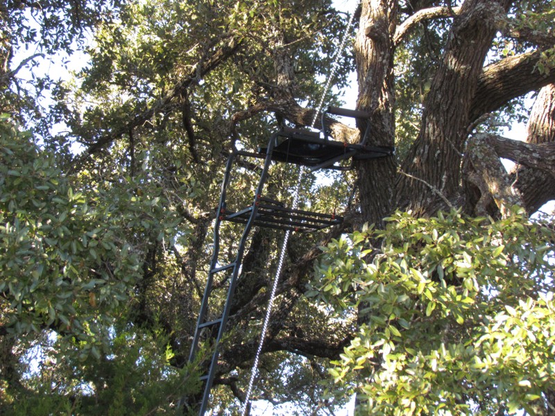 Texas Deer Stand
