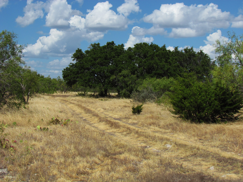 Our Texas Hunting Ranch