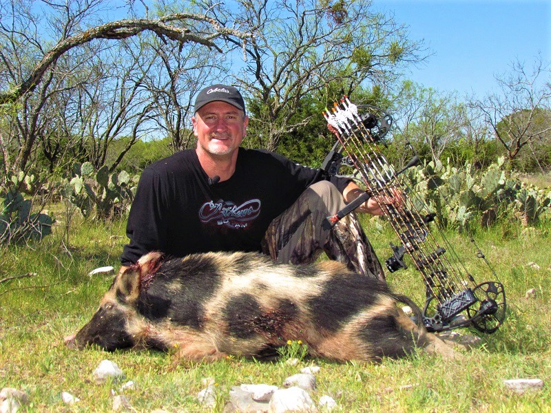 Texas Hog Hunting Wild Hog Hunts In Texas