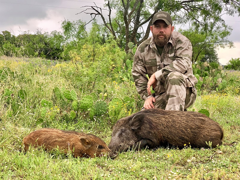 TX Pig Hunts
