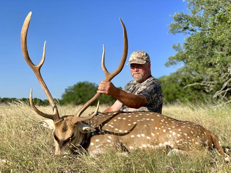 Hunting Axis Deer