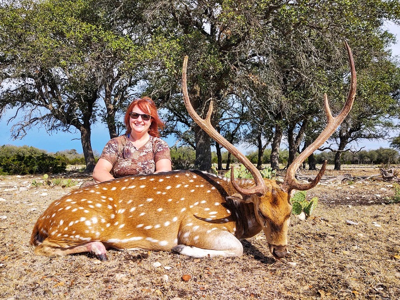 Hunt Texas Whitetails