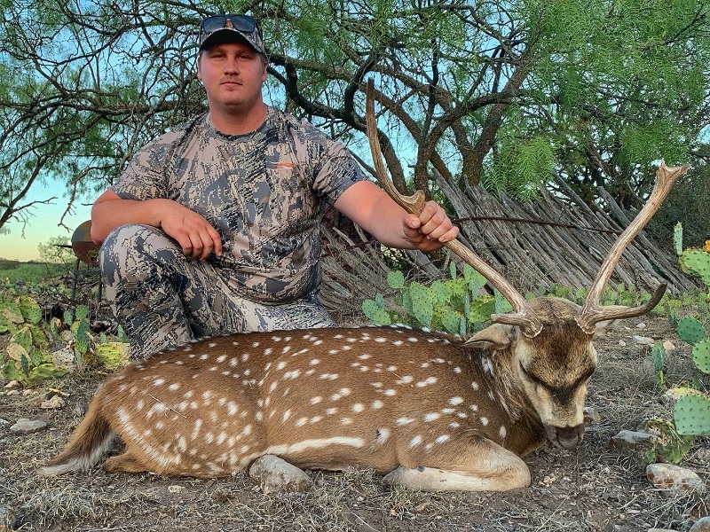 Hunt Texas Whitetails